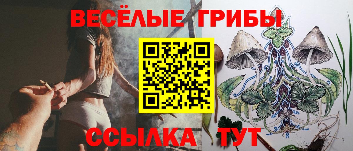 Псилоцибиновые грибы прущие грибы  Вход с VPN  Можайск  Псилоцибиновые грибы Psilocybine cubensis 